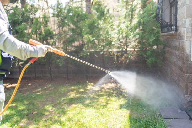 Best Lawn Pest Control  in Leesville, LA